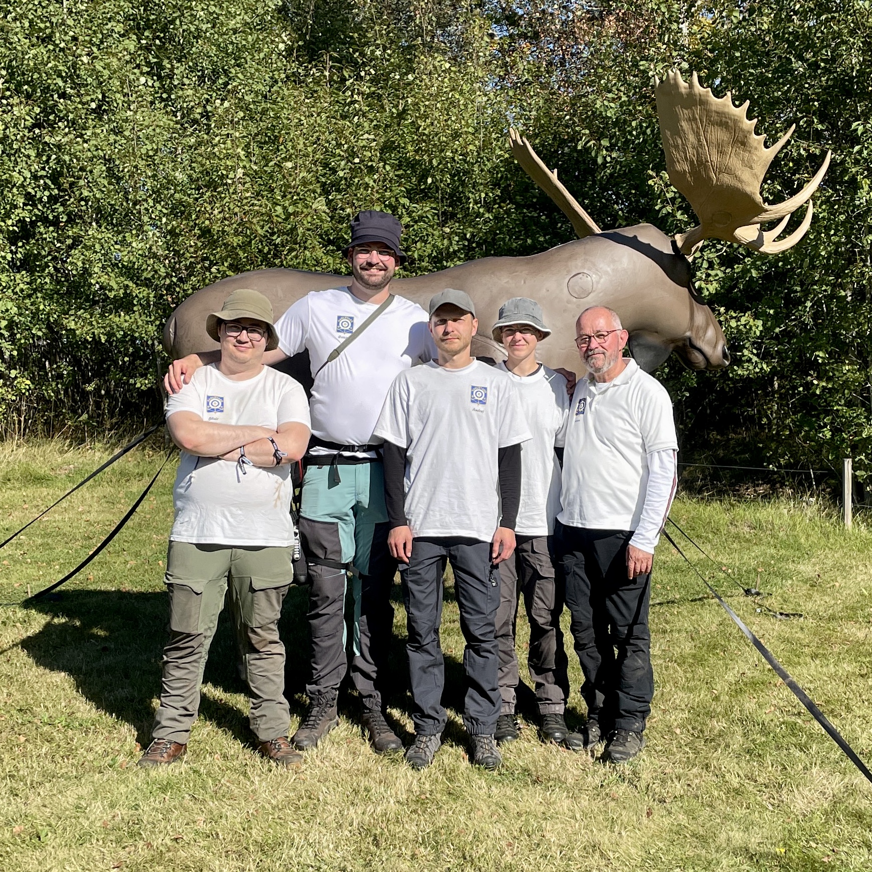 Fin representation på 3D-SM